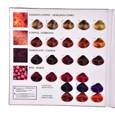 Ice Cream Hair Color Chart Book