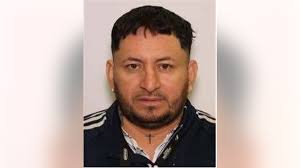 Illegal immigrant caught in deadly hit-and-run had history of armed  robbery, assault and drugs