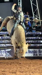E o grande campe&atilde;o de Cassil&acirc;ndia-MS 2024, no rodeio em touros foi Lucas  Eduardo de Inoc&ecirc;ncia-MS, com 100% de aproveitamento, parando em todos os  touros enfrentados. Valendo uma etapa da ACR BGB SUPER ...