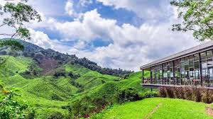 Compare top cameron highlands vacation rentals up to 75% off. Ladang Teh Boh Sg Palas Cameron Jalan Jalan Makan Angin Facebook