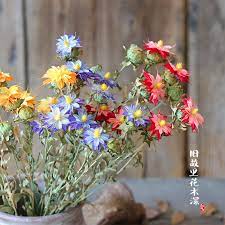 Keep it away from cold drafts. Environmental Protection Natural Home Furnishings Dried Flowers Handmade Art Wild Moth Flower Arrangement Guest Restaurant B Flower Arrangement Dried Flowersflower Flower Aliexpress
