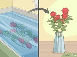 Cut the stems the main reason why flowers begin to wilt is that they're simply not getting enough water. 3 Ways To Revive Roses Wikihow
