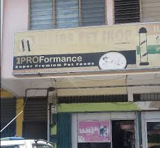 Vetacat Bangi Kajang Putrajaya Serdang Ampang Facebook