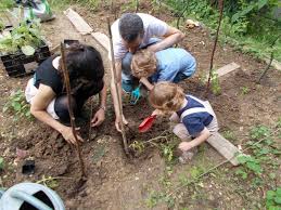 Maison Des Solidarites Arcueil Jardin Partage Arcueil Solidarite Jardins
