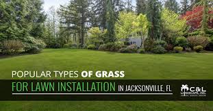 Reliable landscaping in jacksonville, fl. Residential Landscaping Jacksonville Fl Choosing The Right Type Of Grass