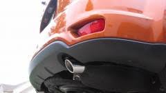 Image result for Mango Tango 2011 Caliber