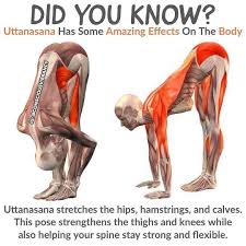 Did You Know Tag Save Share With Someone This Might Benefit Uttanasana Not Only Heals B Yoga Benefits Work Out Routines Gym Easy Yoga Workouts