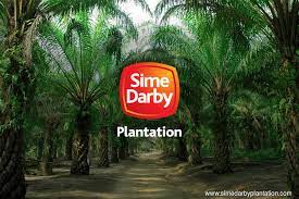 The mill in liberia was completed in may 2017 and the company began preparations for audit to. Sime Darby Plantation To Work With Global Ngo To Boost Sustainability In Its Operations The Edge Markets
