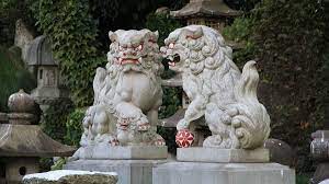 4.5 out of 5 stars (194) 194 reviews $ 139.00 free shipping only 1 left favorite. Shisa Guardian Lions Of Okinawa Learn More At Japan Centric