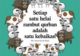 Naik unta pergi berhaji berbekal iman dan ketaqwaan. Kartun Raya Korban