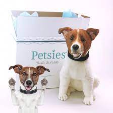 One Of Ginger Custom Stuffed Animal Your Pet Pets