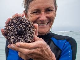 Laura Boes's Instagram, Twitter & Facebook