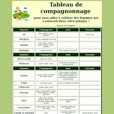 Tableau De Compagnonnage Des Legumes Dans Votre Potager Pearltrees Compagnonnage Vegetal Potager Potager Hors Sol