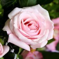 Californië, verenigde staten op etsy sinds 2020. Obituary Of Donna Jean Morris Martin Funeral Cremation Tribut
