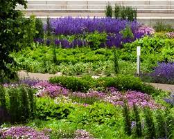 Check spelling or type a new query. Flower Your Place Flowerbulbs Perennials And Wildflower Seeds Mechanically Planted Flower Bulbs Mixtures And Perennial Concept