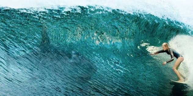 The Shallows (2016) — Absolute Knave