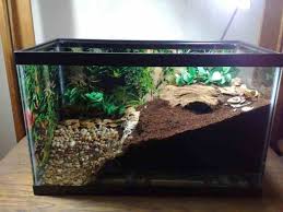 Pin By Joice Henicka On Humid Terrarium Inspiration Hermit Crab Tank Terrarium Hermit Crab Habitat