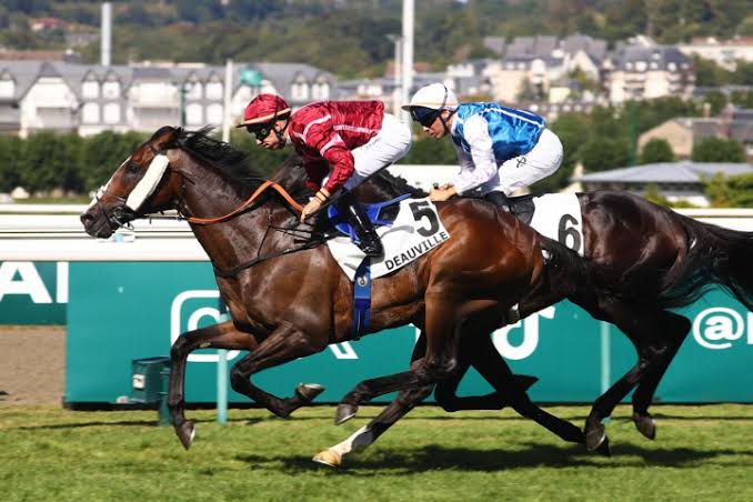Longchamp – Prix Gérald de Geoffre : SPACE WALTZ et les trois ans sur 3000 mètres ce jeudi