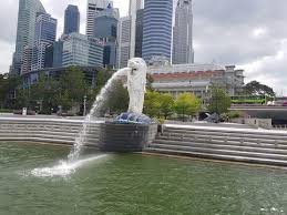 Click the buttons below for the latest information on safe travel arrangements for arrival, transit or departure. Singapore And Australia Plan Travel Bubble News Flight Global