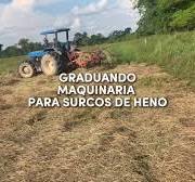 Proceso del HENO.🐴🐄 | TikTok