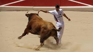 Resultado de imagen de toros