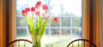 Maybe you would like to learn more about one of these? 14 Cut Flowers To Grow In Your Garden Flower Power