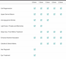 Needle Size Guide Derma Roller System The Official