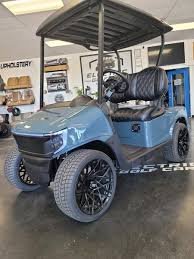 Image result for Electric Blue 2018 Fleet