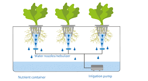 Nft stands for nutrient film technique. Hydroponic Various Hydroponics Systems