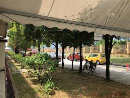 Kuala selangor 45800, selangor view map. Quarantine Diary Of A Pui Codeblue