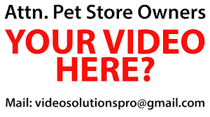 Shop target for dog crates, carriers & containment you will love at great low prices. Best Pet Store In Los Angeles Pet Store Los Angeles California Youtube