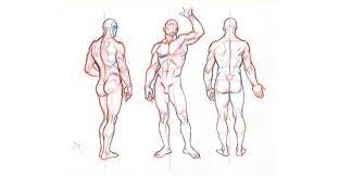 Explore over 6700 anatomic structures and more than 670 000 translated medical labels. Beginner S Guide Importance Of Proper Body Proportions And How To Get Them Right By Scriba Stylus Medium