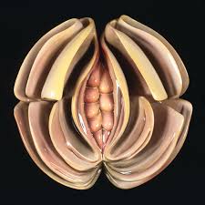 Press image / through the flower archives. Judy Chicago S The Dinner Party Reviewed By Marjorie Allthorpe Guyton Artreview