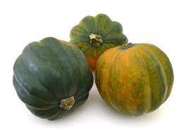 We did not find results for: Proper Storage Of Acorn Squash Garden Eco