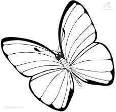 1001 Ausmalbilder Tiere Schmetterling Schmetterling Ausmalbild