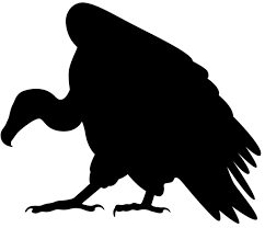 Actress and dancer ann miller sits surrounded by halloween decorations. Vulture Silhouette Png Clip Art Image Silhouette Art Art Art Images