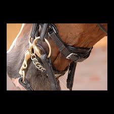 Dy'on Large Crank Noseband Weymouth | The Horse of Course