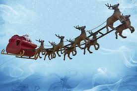 Image result for reindeer