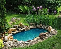 Waterfall pond grotto beach paradise, backyard garden design ideas hgtv, grotto fountain concept motor court garden pond design, water garden wikipedia, pin by doris gathenya on grotto new grotto design prayer. 15 Lovely Diy Pond Designs