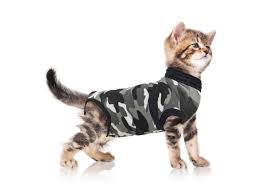 suitical cat recovery suit