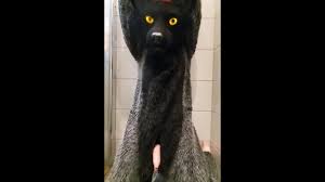 Ted up murrsuiter releaves himself after holding his piss for a long time