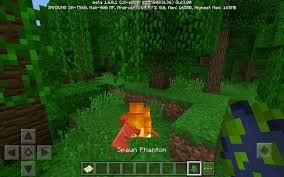 If you want to download the mcpe apk beta for 1.17, head down below. Bedrock Edition Beta 1 6 0 1 Minecraft Amino