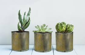 Just about any box, basket, pot or dish is a possibility for plants. Blog Vase Market Blog Vase Market