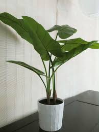 7 Tips For Faking It Decorating With Artificial Flowers Plants The Diy Homegirl Fake Plants Decor Artificial Plants Decor Artificial Flowers And Plants