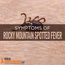 Without prompt treatment, rocky mountain spotted fever can cause serious damage to internal organs, such as your kidneys and heart. Rocky Mountain Spotted Fever Causes Symptoms Treatment