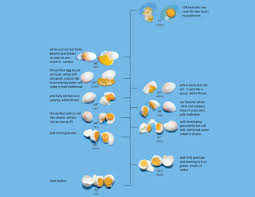 i love charts the egg chart by dave arnold