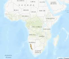 Regions, towns, villages & settlements. 10 Rare Birds Worth The Search In Surprising Namibia Destination Wildlife