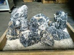 Ini dia jenis tumbuhan aquascape yang cocok untuk akuarium. Batu Ohko Atau Bati Naga Untuk Tema Hardscape Aquascape Pemula Aquascaping Fosil Tanaman