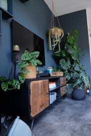 monstera stekken de urban jungle plant zosammieenzo huis interieur interieur woonkamer woonkamer decor