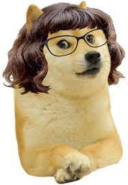 Le Female Coffee Shop Patron Has Arrived R Dogelore Ironic Doge Memes Doge Meme Doge Doge Dog